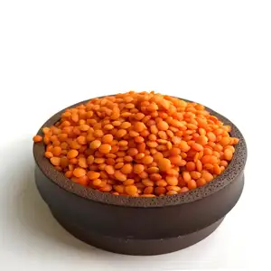 Red Lentils quality characteristics correspond to the Interstate standard healthy legume lentils wholesale