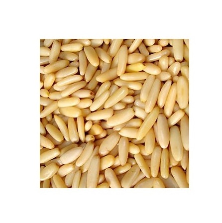 Оптовая продажа, вкусные сосновые орехи, цена, кедровые сосновые орехи