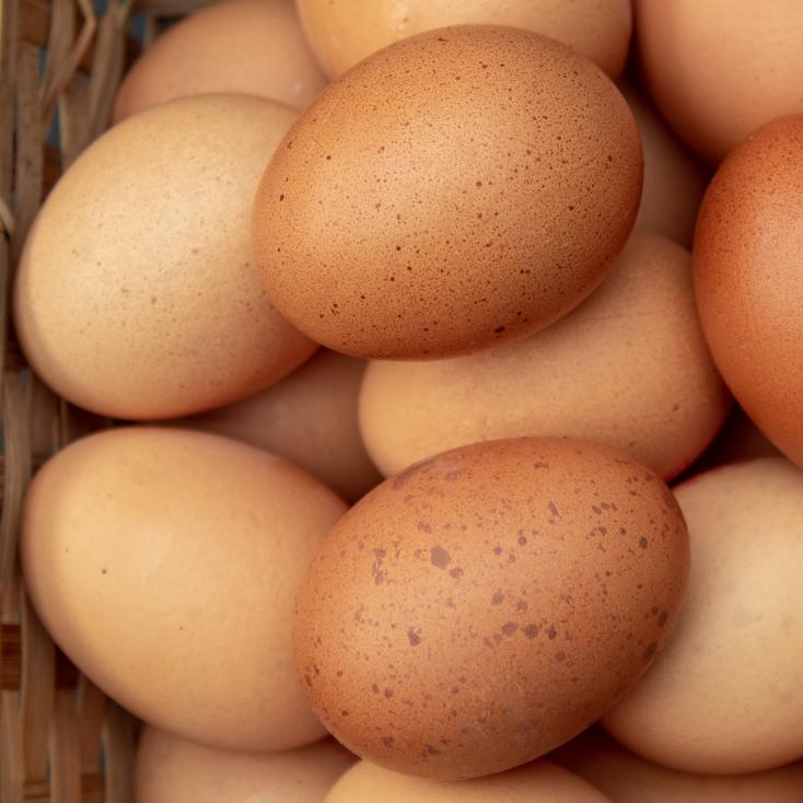 Коричневые и белые куриные яйца на продажу