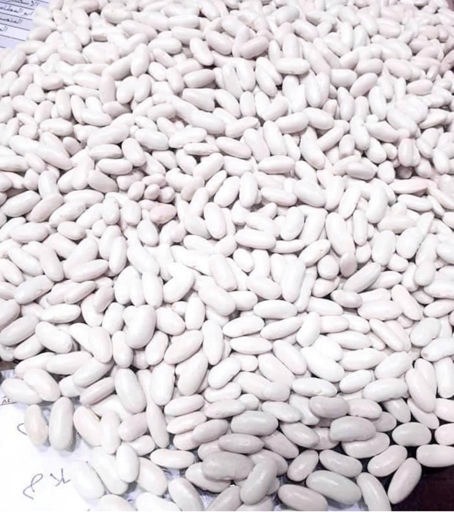 Белая фасоль с сушеным маслом оптом для консервированных продуктов 2023
