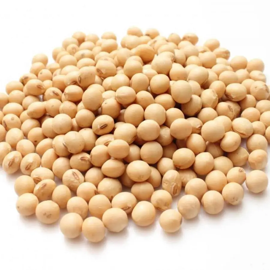 Hot Selling Non-Gmo Soyabean Yellow Soybean Soja Soya Beans Discounts Price
