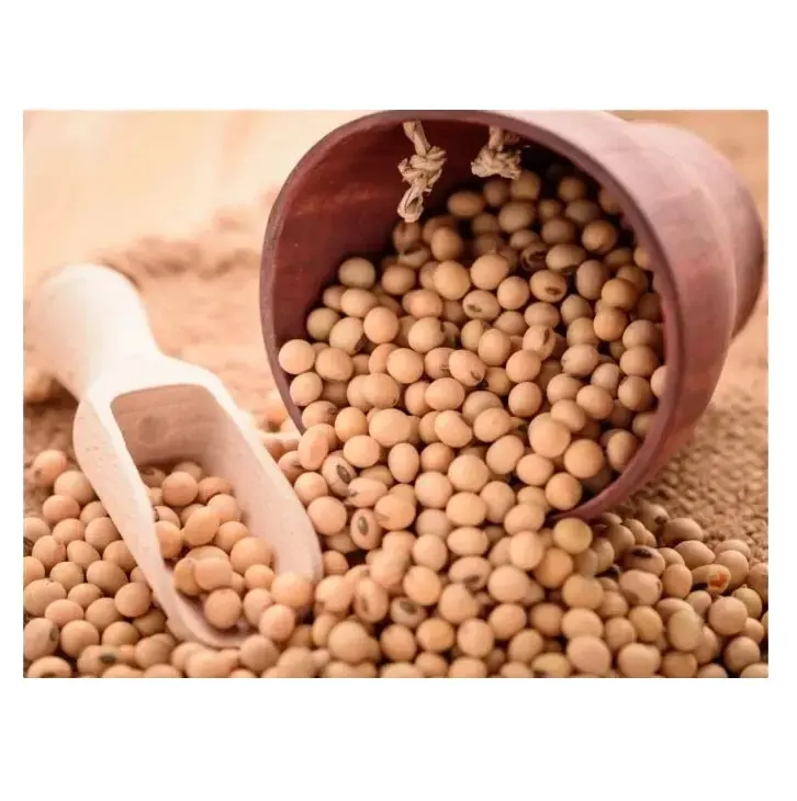 Best Wholesale Supplier Of Organic Soybeans / Soya Beans available Here Fresh Stock In bulk