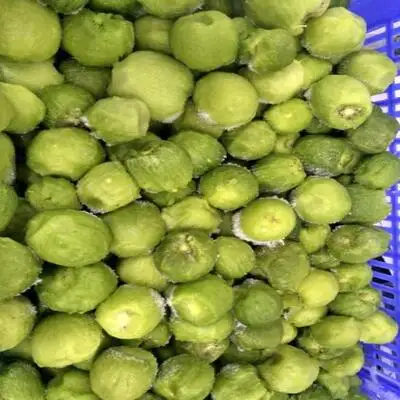Top Sale Sweet Kiwi Fruit Peeled Frozen Kiwi IQF Export Factory Price Wholesale Egypt Kiwi Fruit Premium Grade