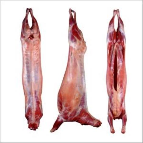 Баранина, говядина, орган куриное мясо, мясо утки