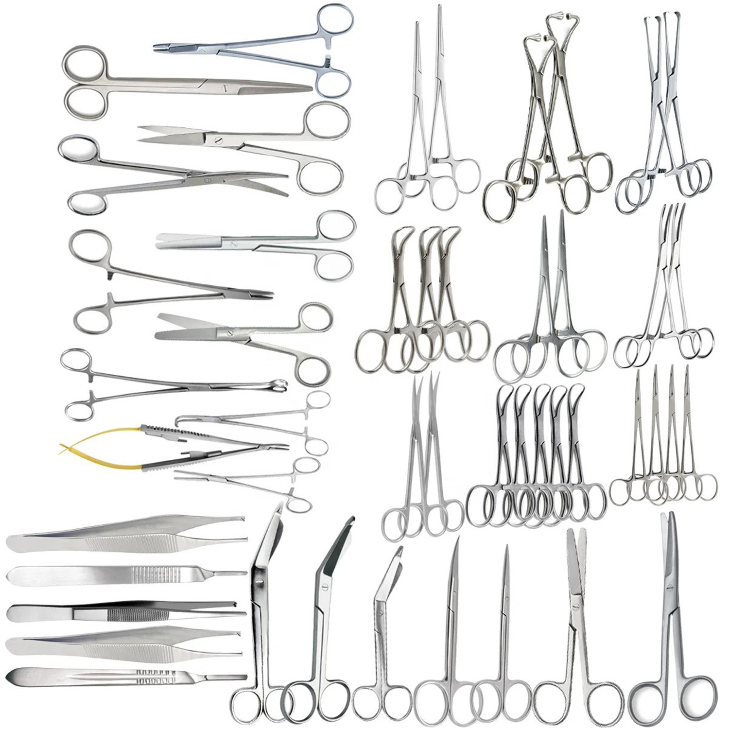 General Surgery Set Veterinary Medical Tools Set of 51 pcs Basic Veterinary surgery Instruments by Vaslcare