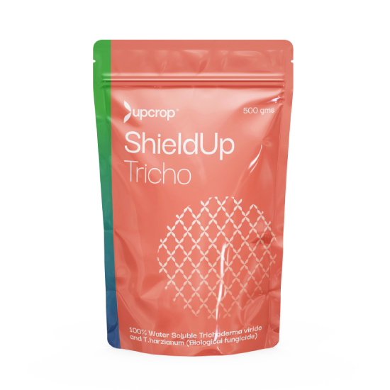 Хорошая цена 100% водорастворимый триходерма Viride и T.harzianum up_tricho_водорастворимый порошок биологический фунгицид экспорт