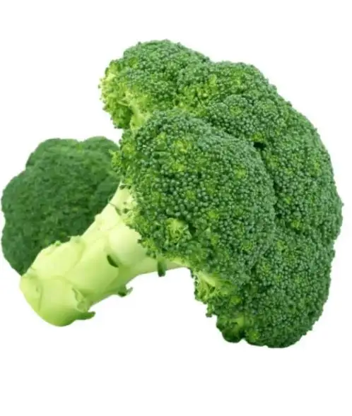 Fresh Broccoli Newest Crop Healthy And Natural Broccoli 2022 Hot Frozen Green Fresh COMMON Cultivation Broccoli From Bangladesh