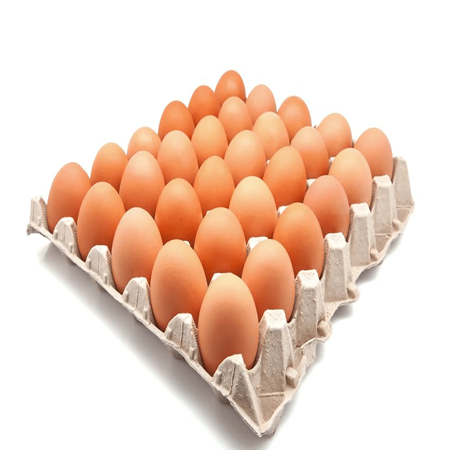 Fresh Chicken Eggs / Round Table Eggs for Sale / fertile hatching eggs Farm Fresh Chicken Eggs Offer Free Sample