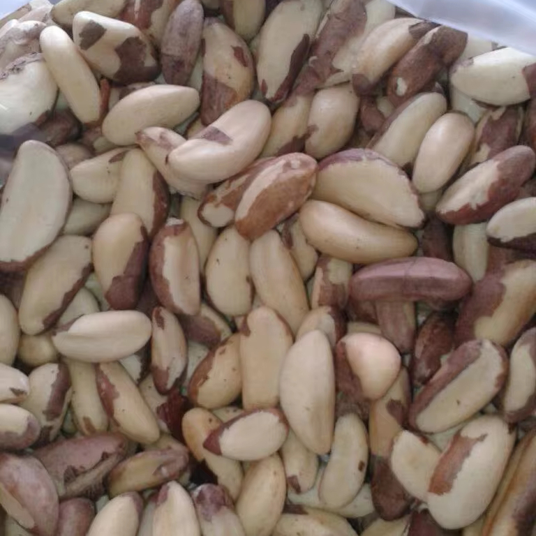 Brazilian nut