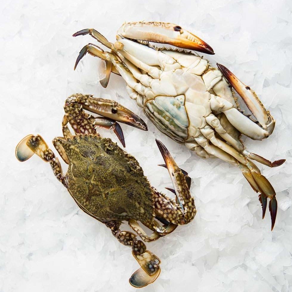 Горячая Распродажа замороженных синих плавающих крабов мясо для рынков ЕС, Японии, Кореи