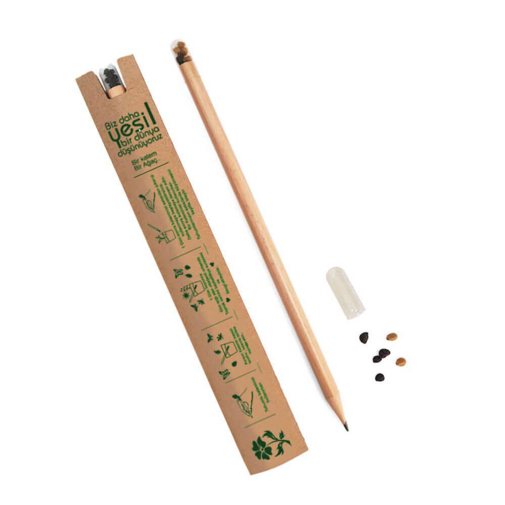 721318 - Seed Pencil