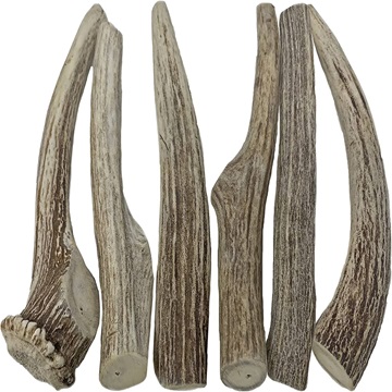 Chewy sticks Red deer antlers for pet / Whole Red Deer Antlers