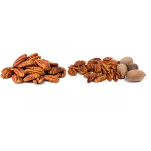 Buy Pecan Nuts for sale /High Quality Pecan Nut Roasted Salted