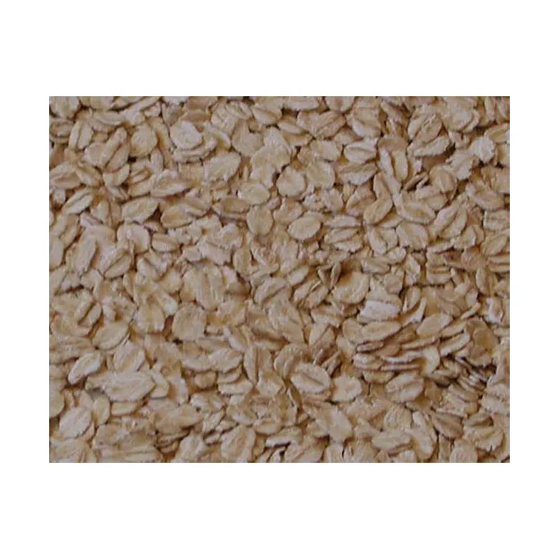 Nutritious Breakfast Grain Cereal Oat Flakes/Rolled Oats/Instant Oatmeals