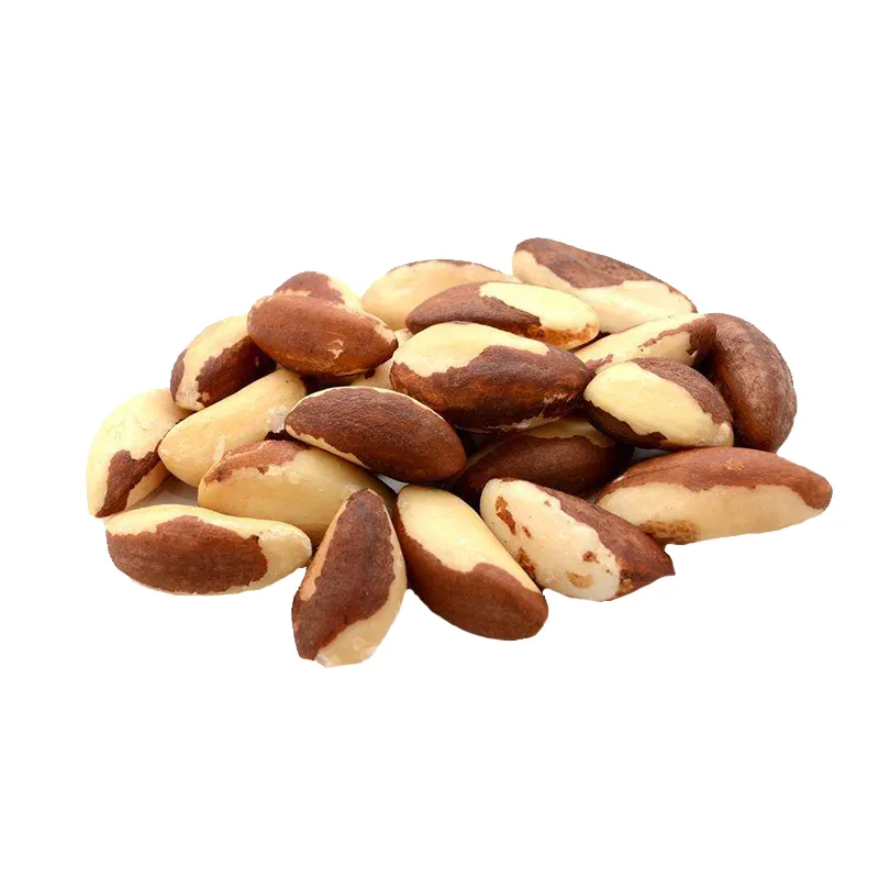 Brazil nuts100% natural top quality good typical shellless for human consumption dried raw brazil nuts