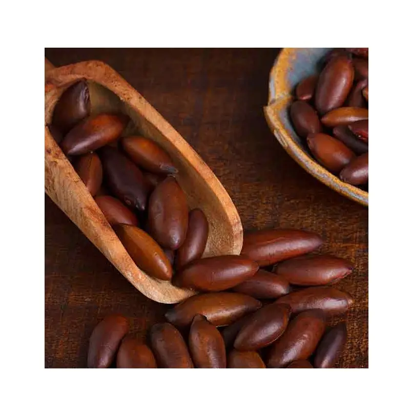 Buy Dried Baru nuts Kernels At Best Price