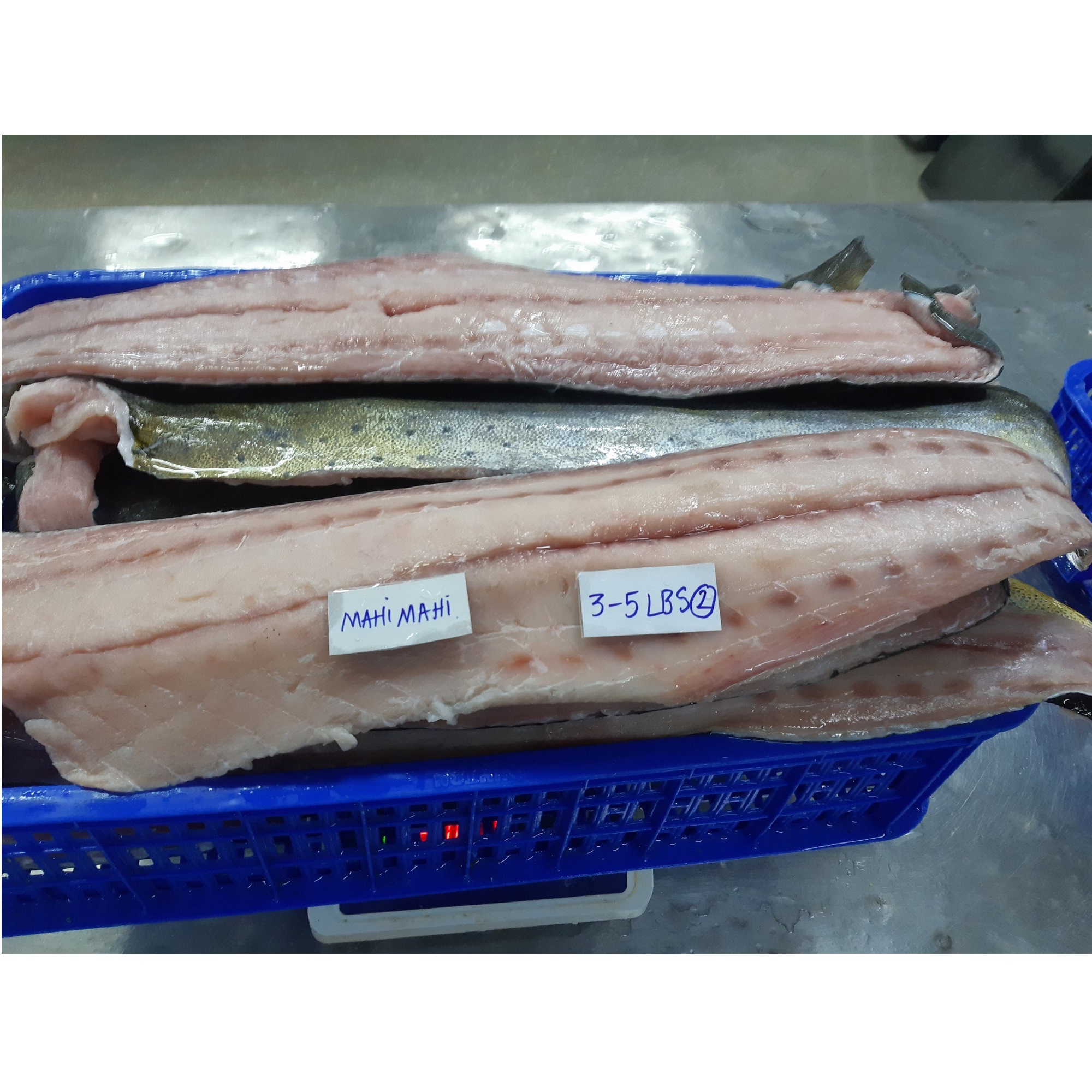 Top Selling IQF Sea Frozen Fresh Skin Fillet High Quality Bulk Seafood 20% Glazing Mahi Mahi From Vietnam In Vacuum Pack
