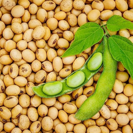 Соевые бобы оптом IQF зеленый замороженный сладкий стиль бренды цвет Edamame вес полка оригинальный тип жизни продукт Место модель вкус