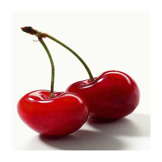 High quality Red Sweet Cherry