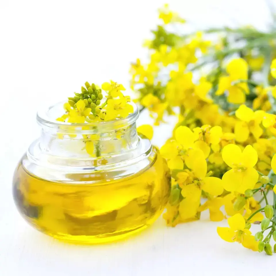 Wholesale Organic Non-gmo Canola Oil Vegetable Oil Cooking Cold Pressed Canola Oil Health Food