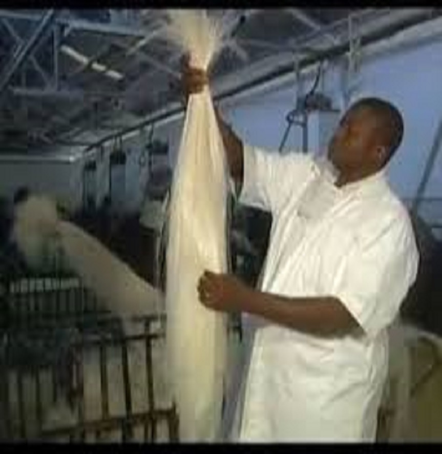 Exporters Premium Sisal Fiber (100% Natural Sisal)