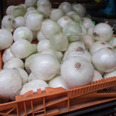 Свежий лук, Свежая Упаковка, новый урожай, Мексиканский комбайн, оптовая продажа, Cebolla Blanca, высокое качество