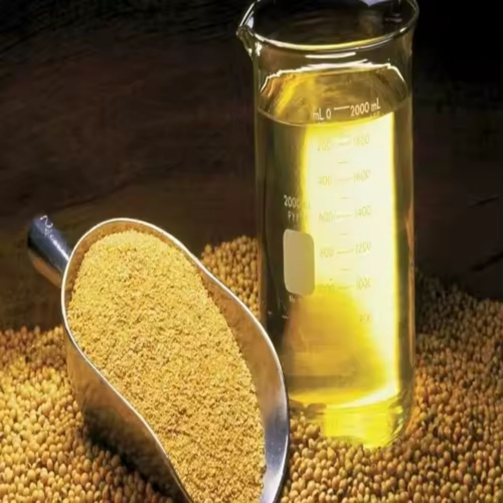 Wholesale Suppliersoybean suppliers refined soy bean oil refined & crude soybean oil Supply Brazil Soybean Oil Pure Natural