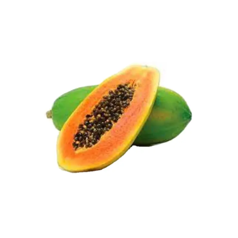 Hybrid Papaya Red Lady 786 for Fruiting material