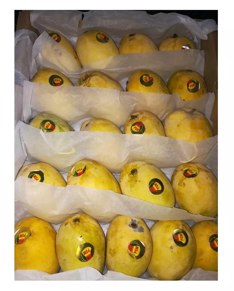Манго Кот Хоа Лок манго Кот Chu экспортное качество 100% натуральные без консервантов/замороженный продукт