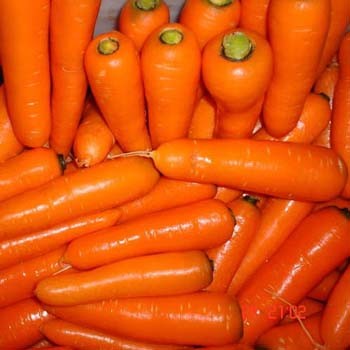 100% натуральный Лидер продаж, оптовая упаковка, свежий Египетский морковь оранжевого цвета BRC
