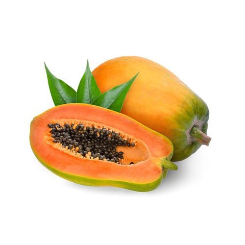 2023 Great High Quality 1 Foot Tropical Fresh Papaya from Vietnam Manufacturer Excellent Price