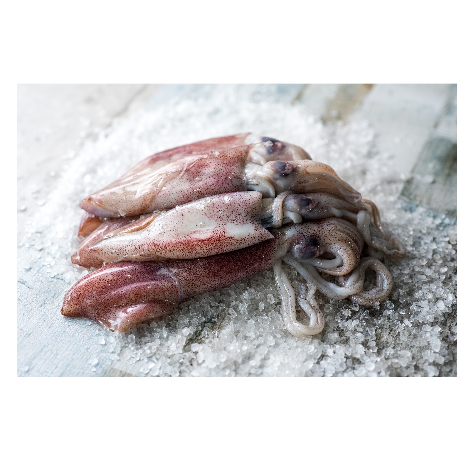 Оптовые запасы замороженных цельных кальмаров-Лиго (морепродуктов) по оптовым ценам