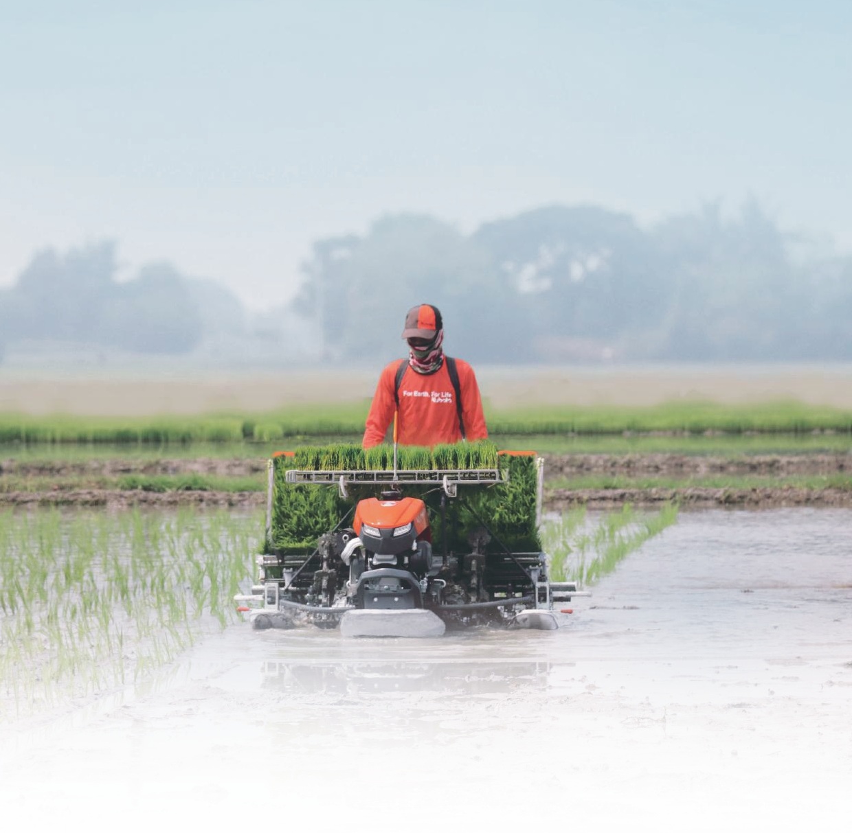Kubota машина для пересадки риса KNP-4W Автоматическая сеялка простая и простая в эксплуатации по оптовой цене