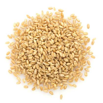 Оптовая продажа, многозерновые зерна Muesli, овсяная зерна, ячменная пшеница