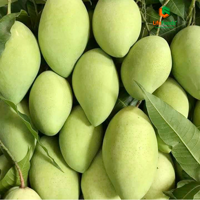 Качественные лучшие продукты, сладкий ароматизатор, свежий зеленый манго, свежий Вьетнам
