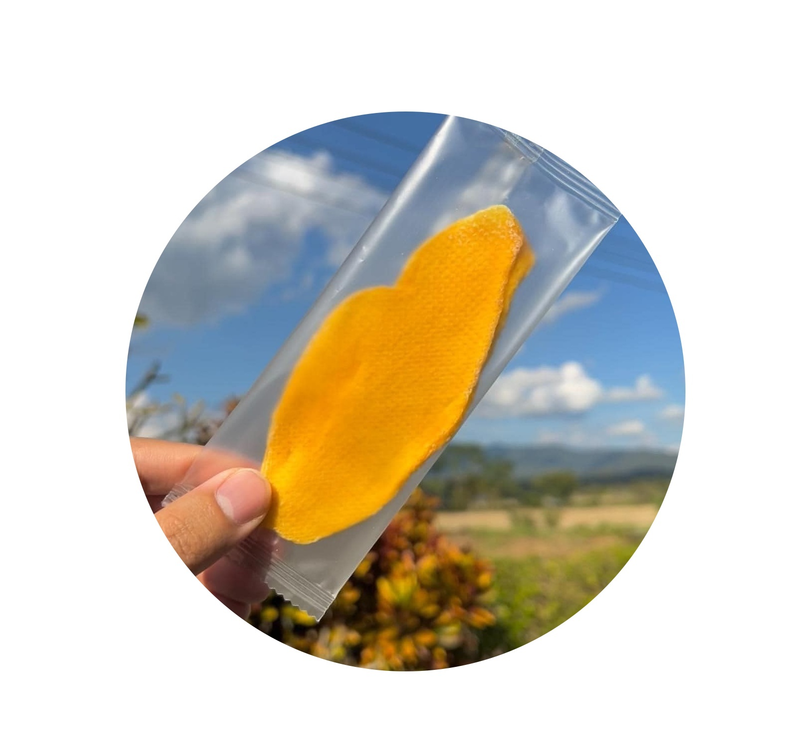 2024-2025 New Season Offer Soft Dried Mango from Thailand Dry Fruit