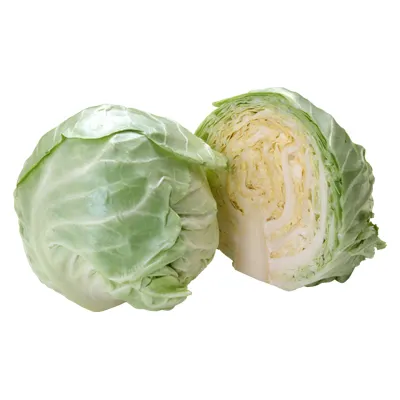 fresh cabbages round cabbage frozen celery for sale