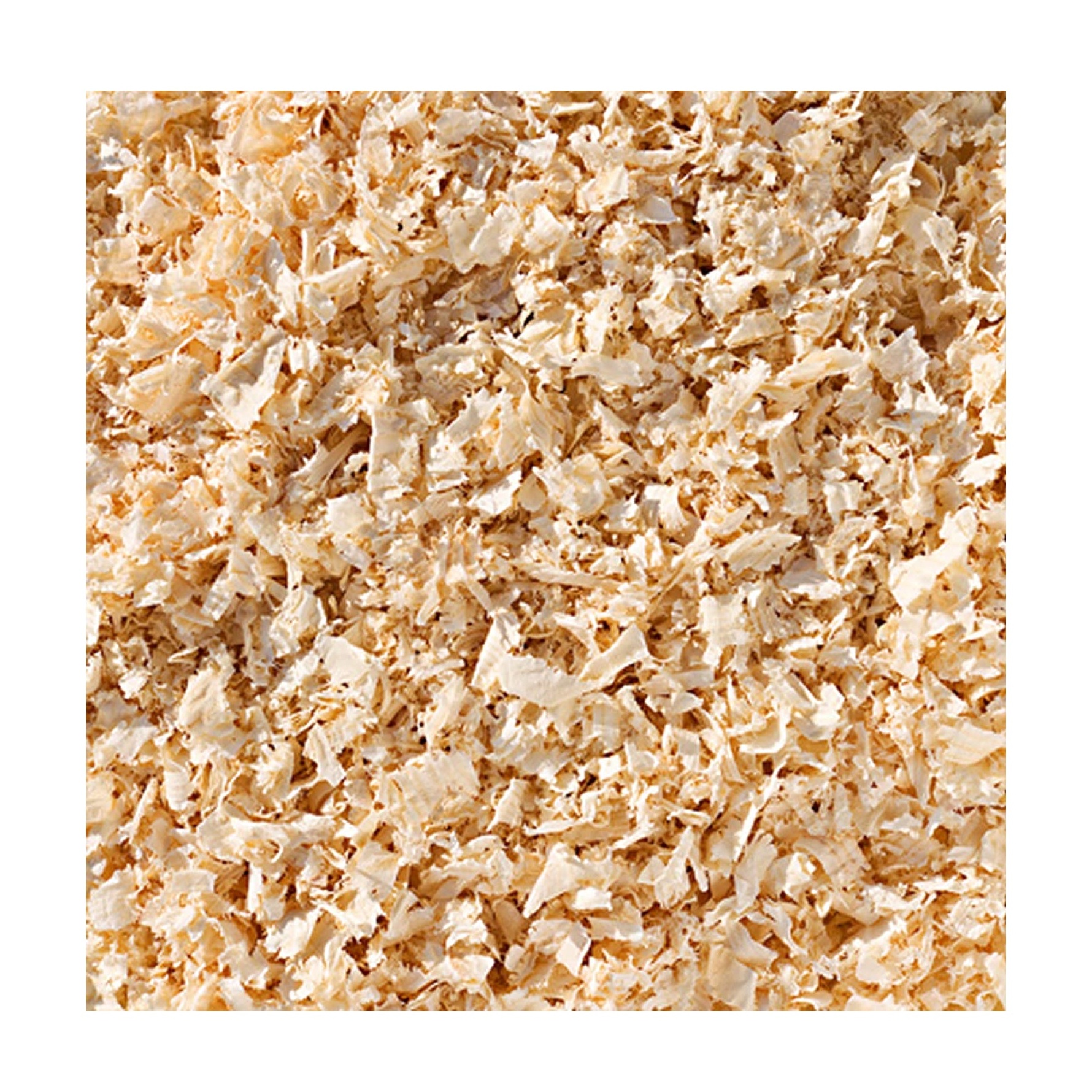 Pine Wood Shavings Agriculture Waste Wood Waste