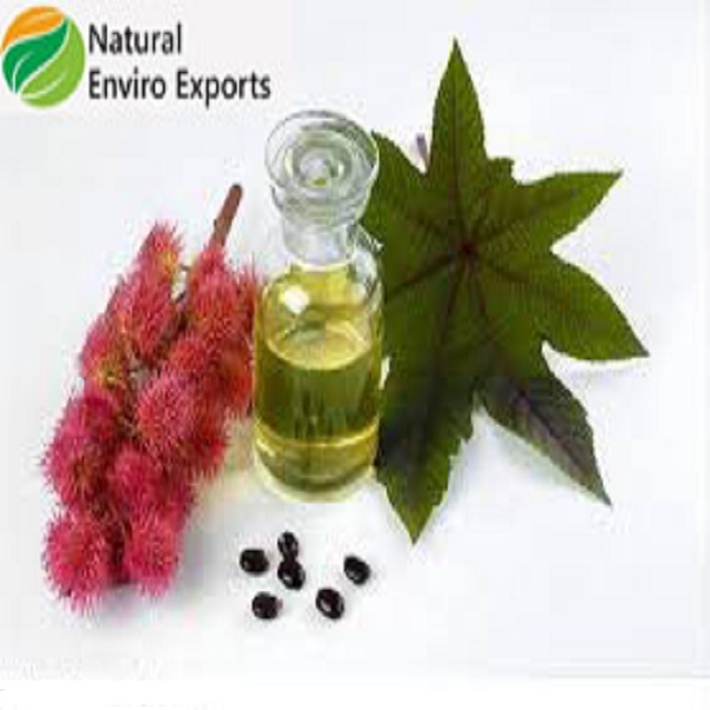 1000L IBC Packing Virgin Castor Oil for Sale with Organic Certification Pure Castor Oil used for various purpose Made in India