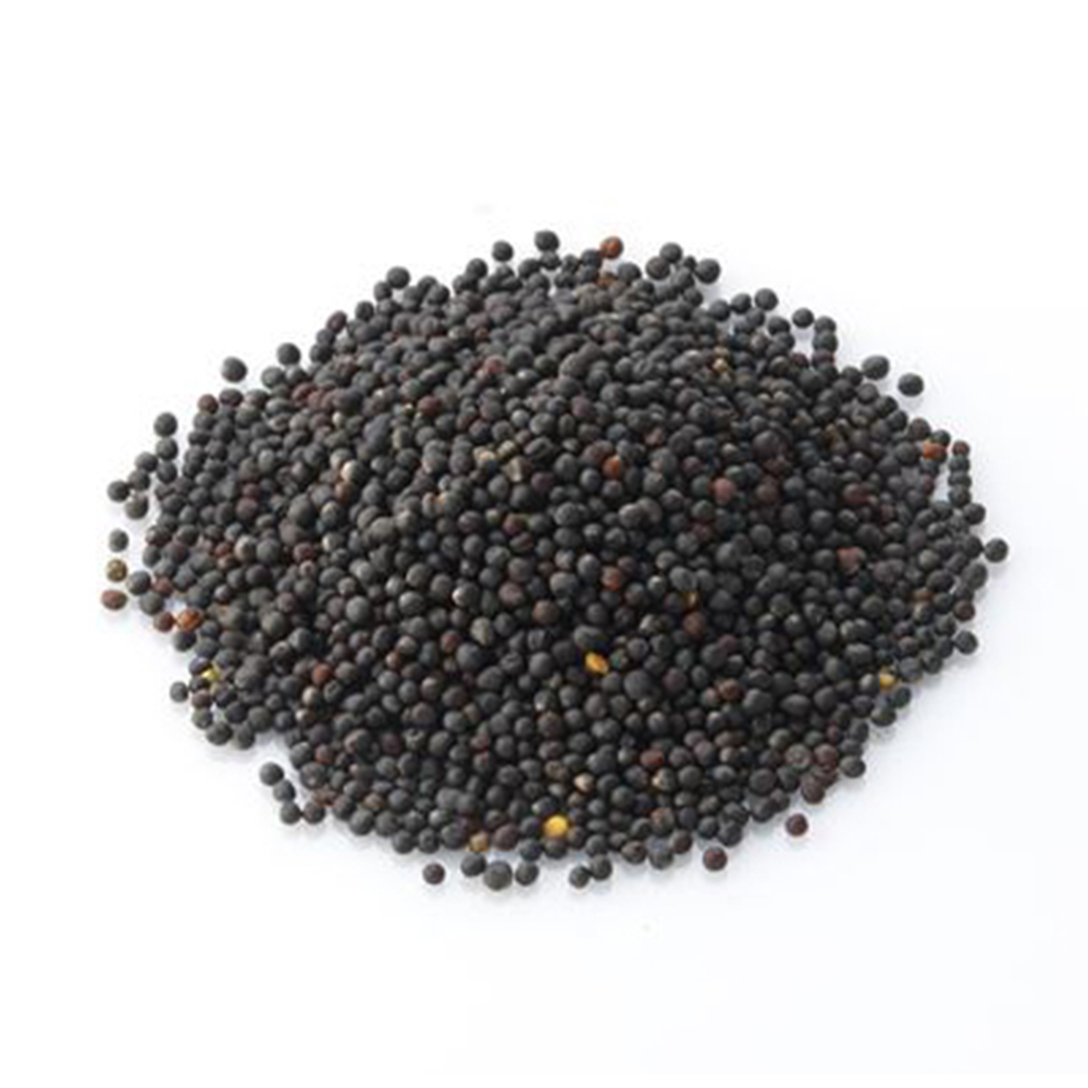 Rapeseed , Canola Seeds at Competitive Price.