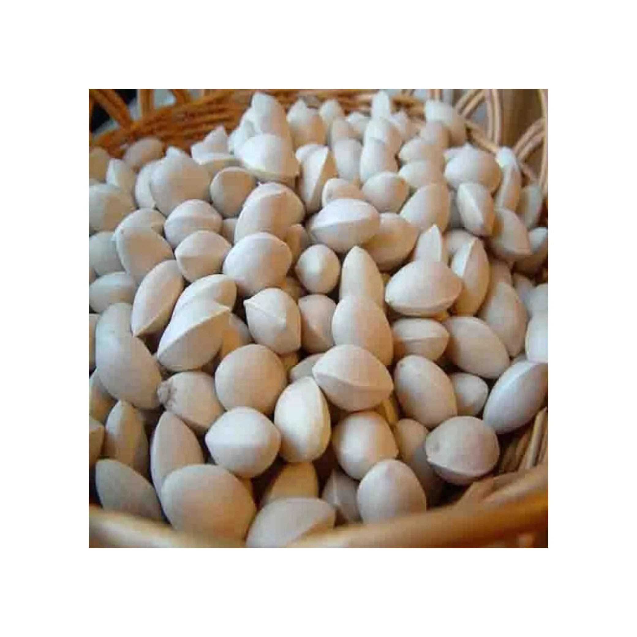 Wholesale Best Quality Ginkgo Nuts For Sale In Cheap Price