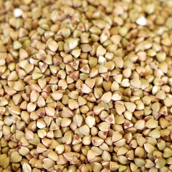 Wholesale Market Price Buckwheat