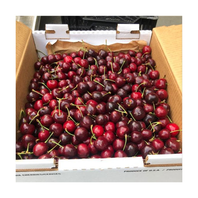 Top Grade Organic Fresh Cherries Wholesome Natural Cultivation Quality Natural Fresh Cherries for sale