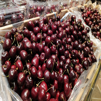 Organic Fresh Sweet/Sour Cherry Fruit Whole Pattern IQF Frozen Carton Bulk Packaging Water Also Offers Frozen Blackberries