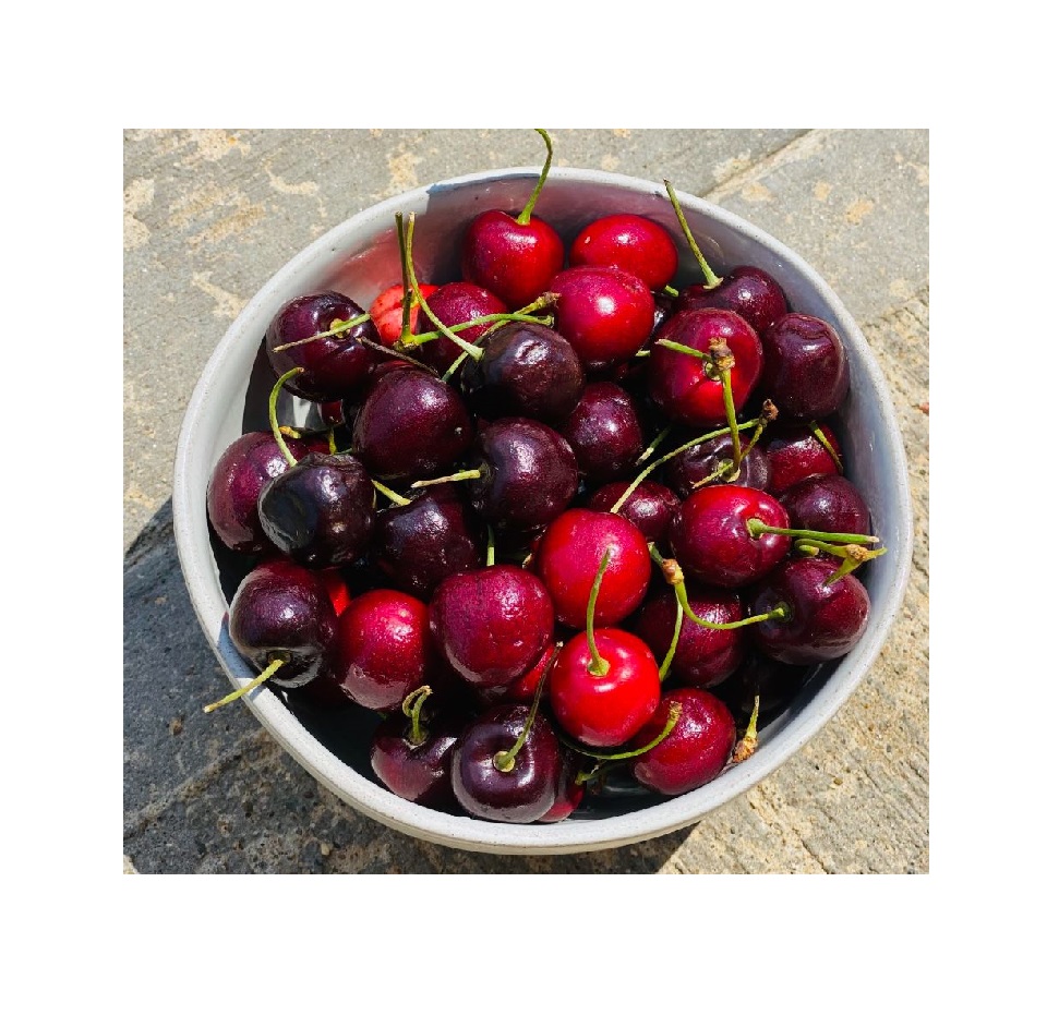 SWEET CHERRY FRESH RED Style sweet fresh cherries fruits for sale dark red premium grade fresh sweet cherries