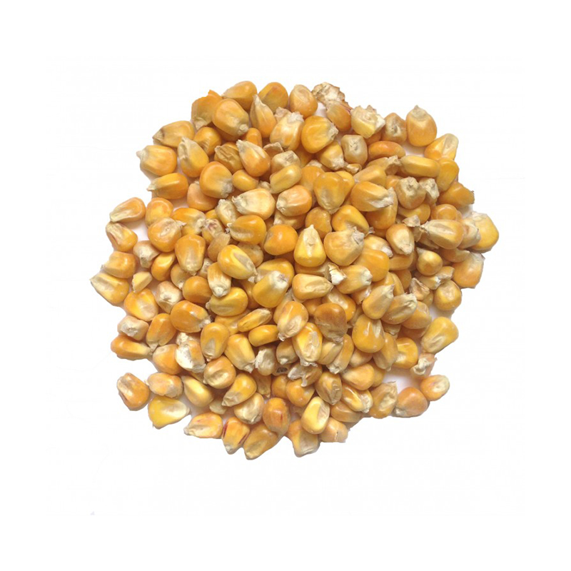 High Quality Yellow Corn Animal Feed Yellow Corn Price Per Ton Yellow Corn