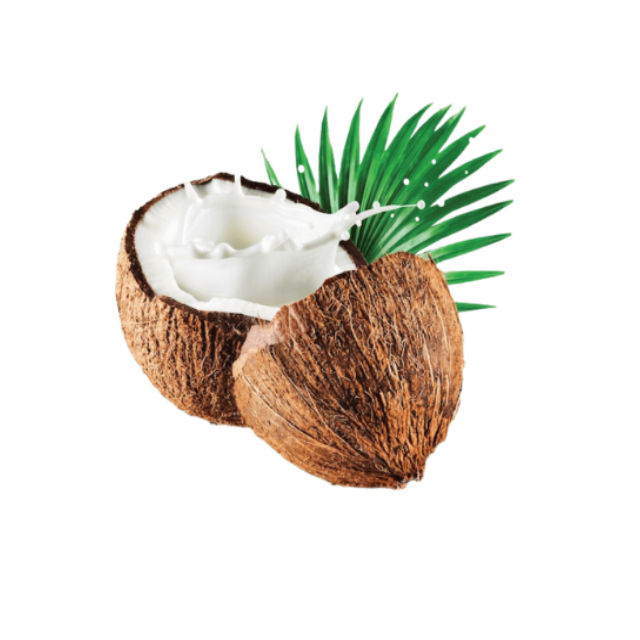 Agriculture Fresh Fruit Natural Sweet Matured Whole Part Mature Normal Temperature Semi Husked Coconut From Indonesia