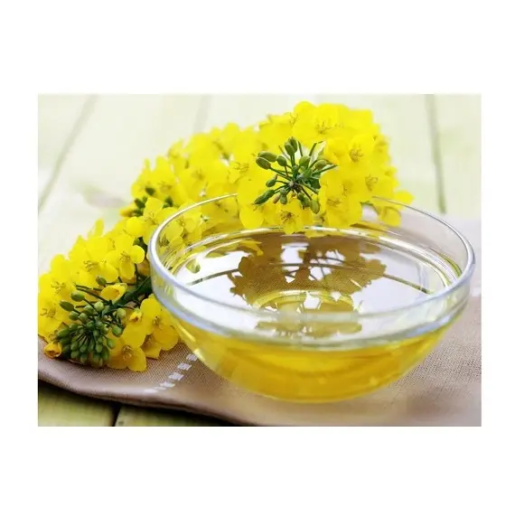 Best Quality Of Food Grade Crude Rapeseed / Canola Oil in Bulk Quantity