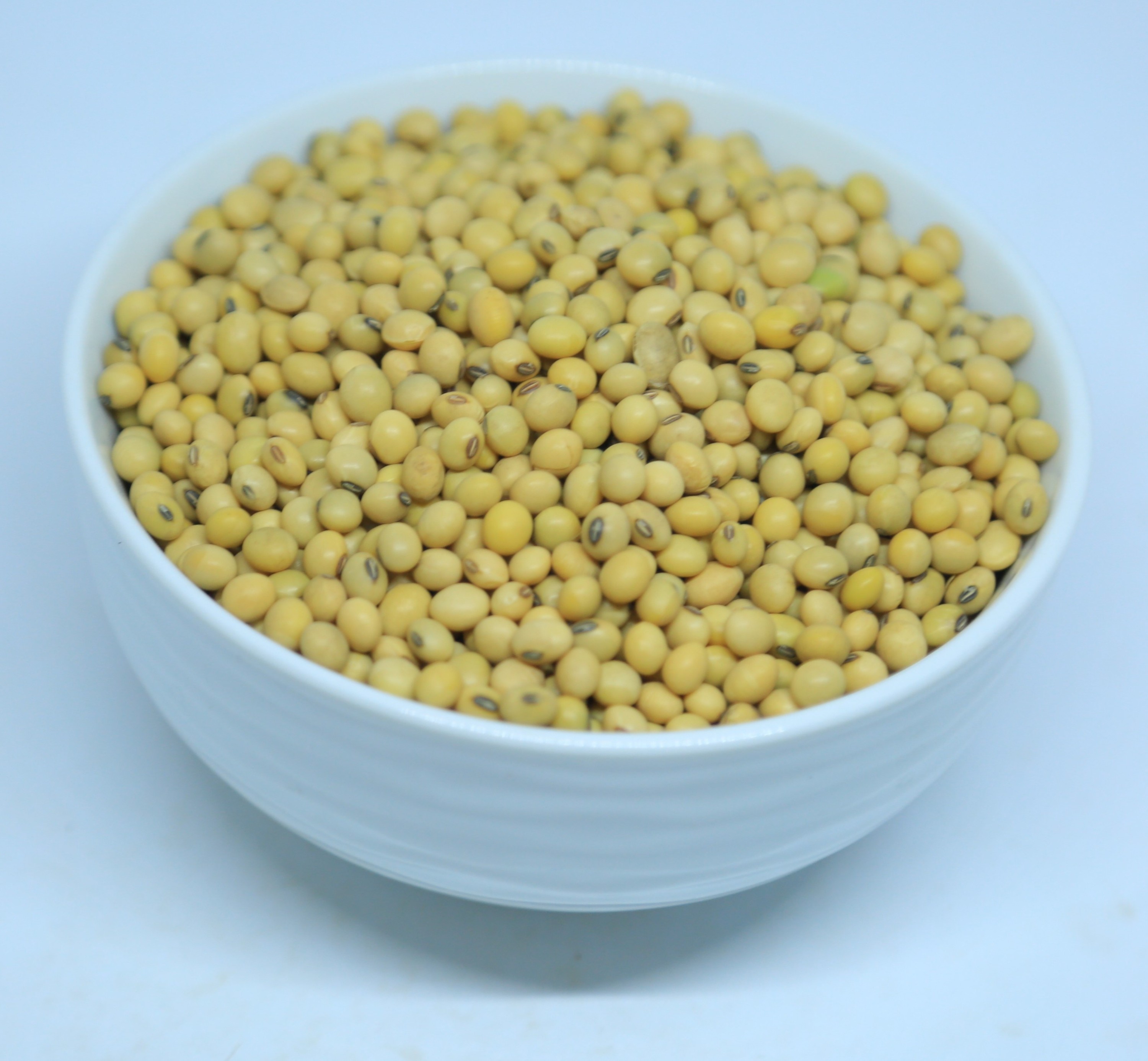 2024 Ethiopian Bright Yellowish Soya Beans 20% Oil 37% Protein 98.5% Purity Animal Feed Direct Farm Sale Best Soybean Meal Bulk