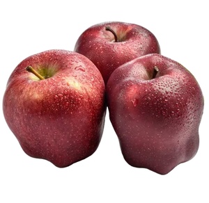 Fresh Red Apples 2024 New Crop Factory Wholesale With Cheap Price Chinese Fresh Apples Fruit Export to World